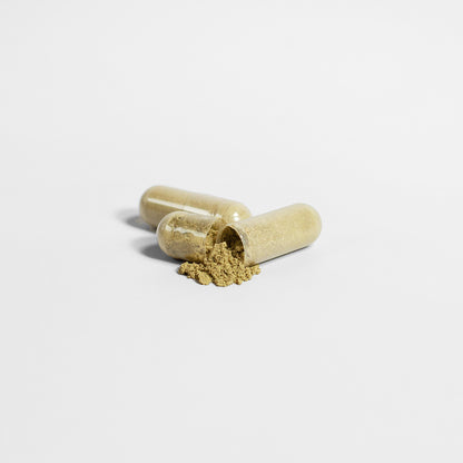 Kenkō Ginkgo Biloba + Ginseng